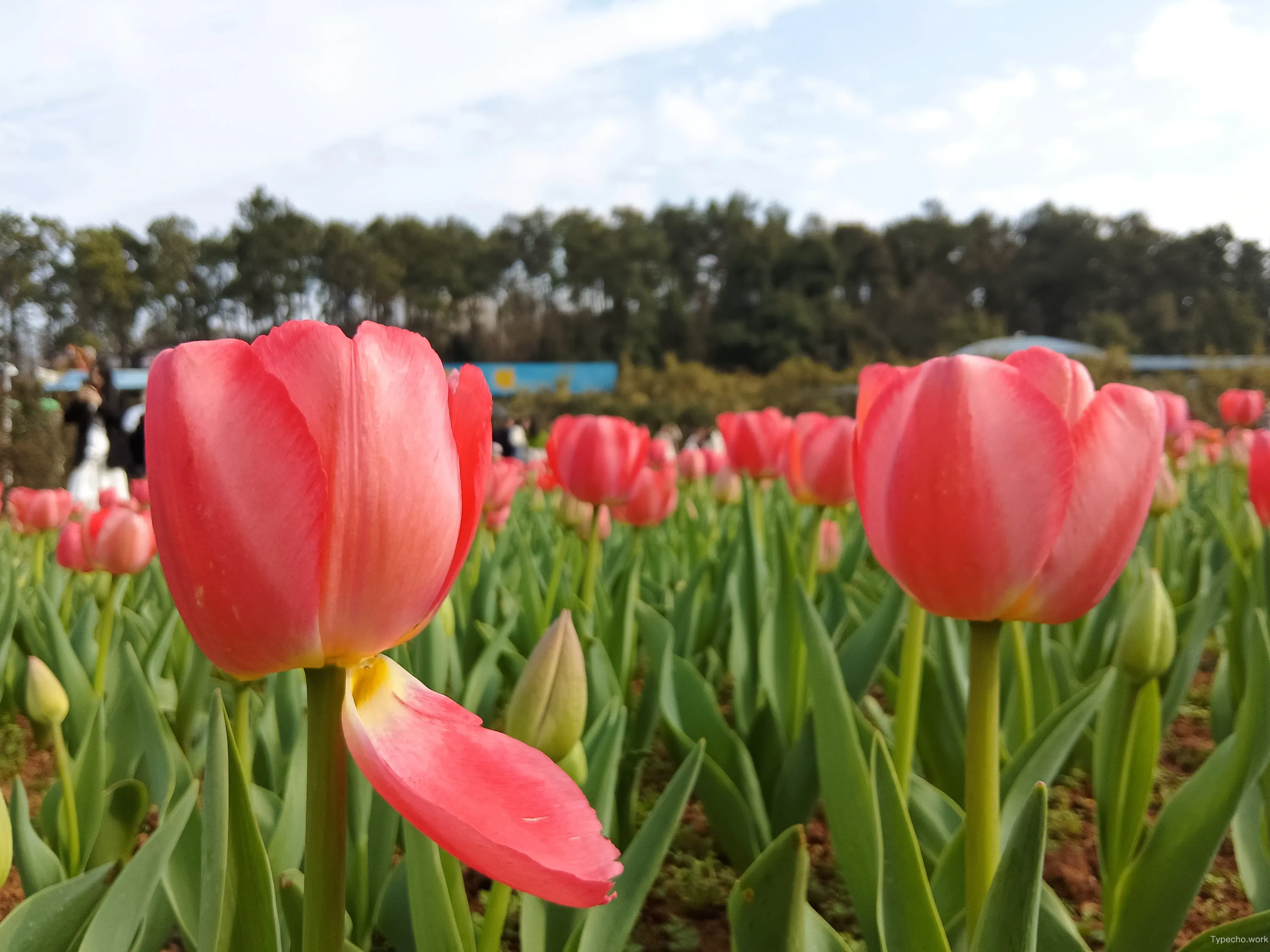 1338401723.webp