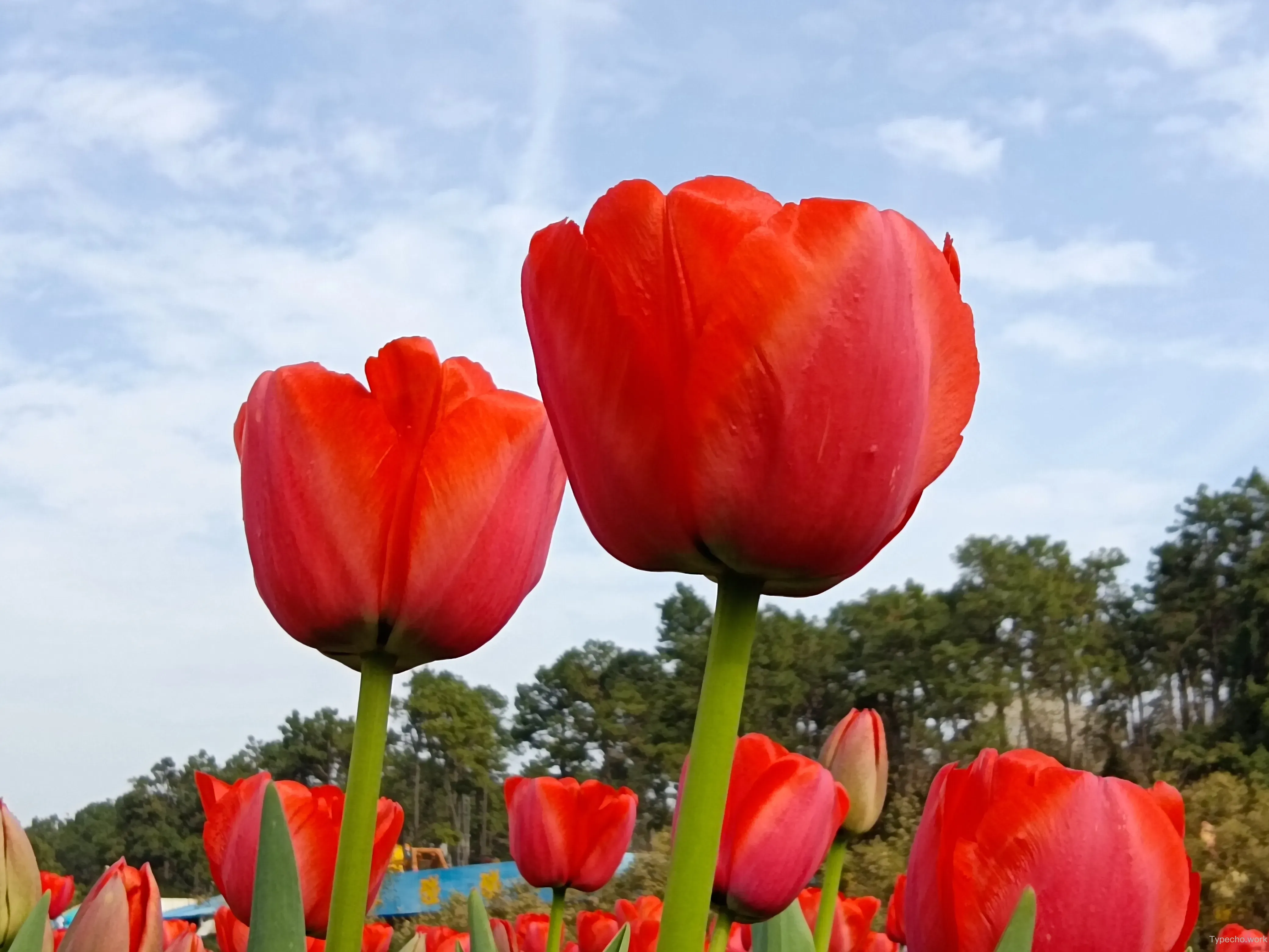 3891817796.webp