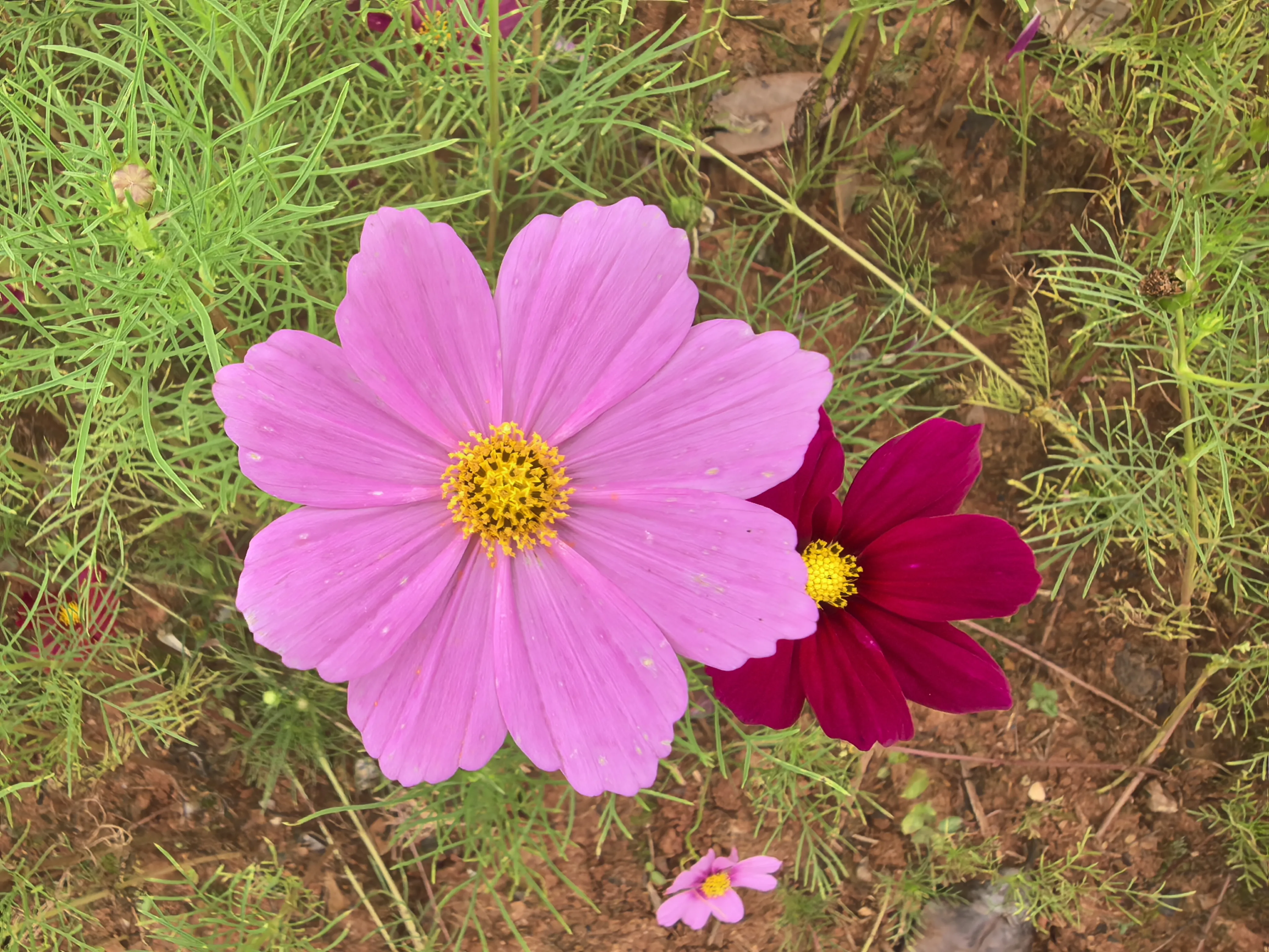 IMG_20250522_114730.webp