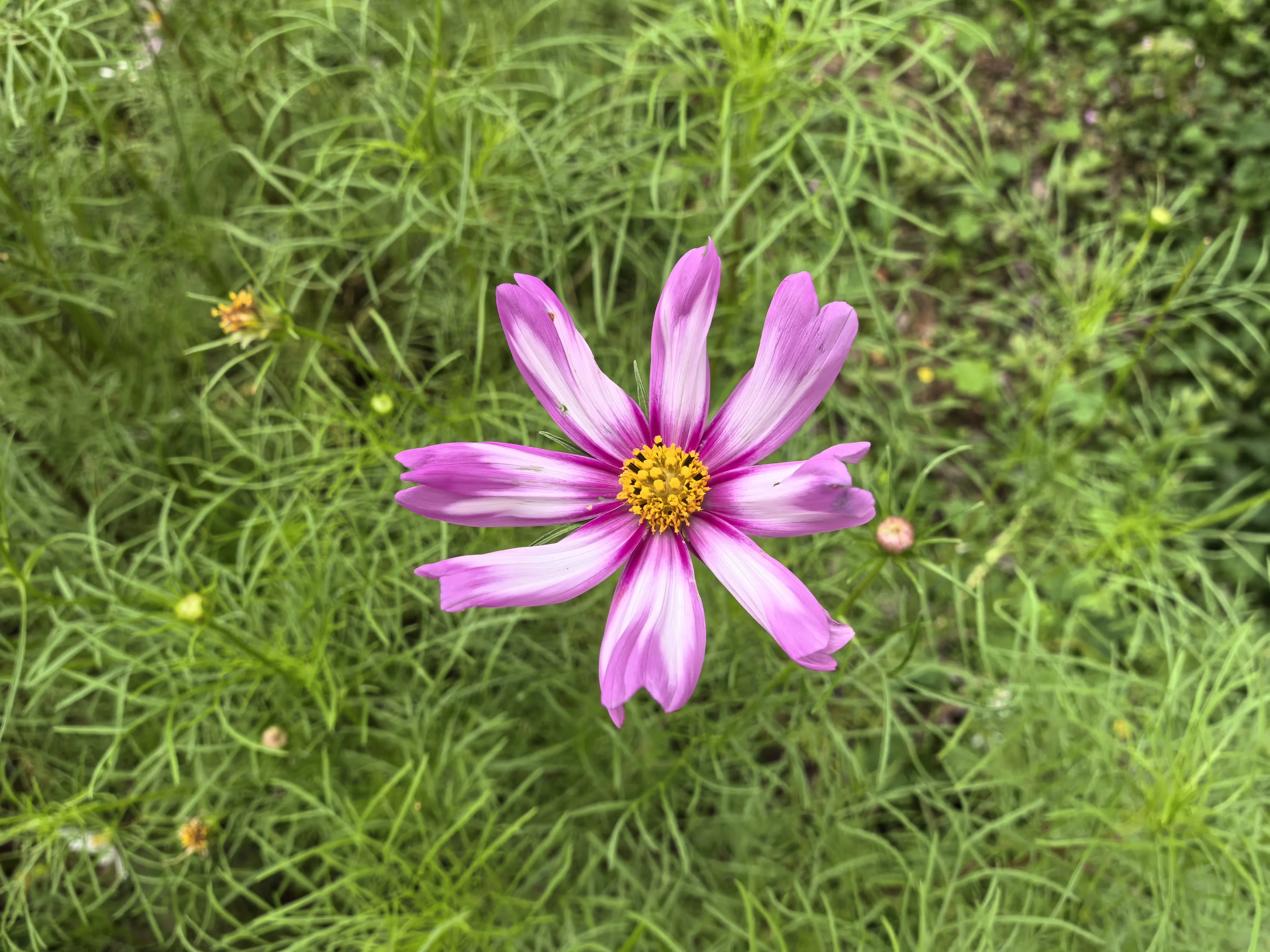 IMG_20250523_112120.webp