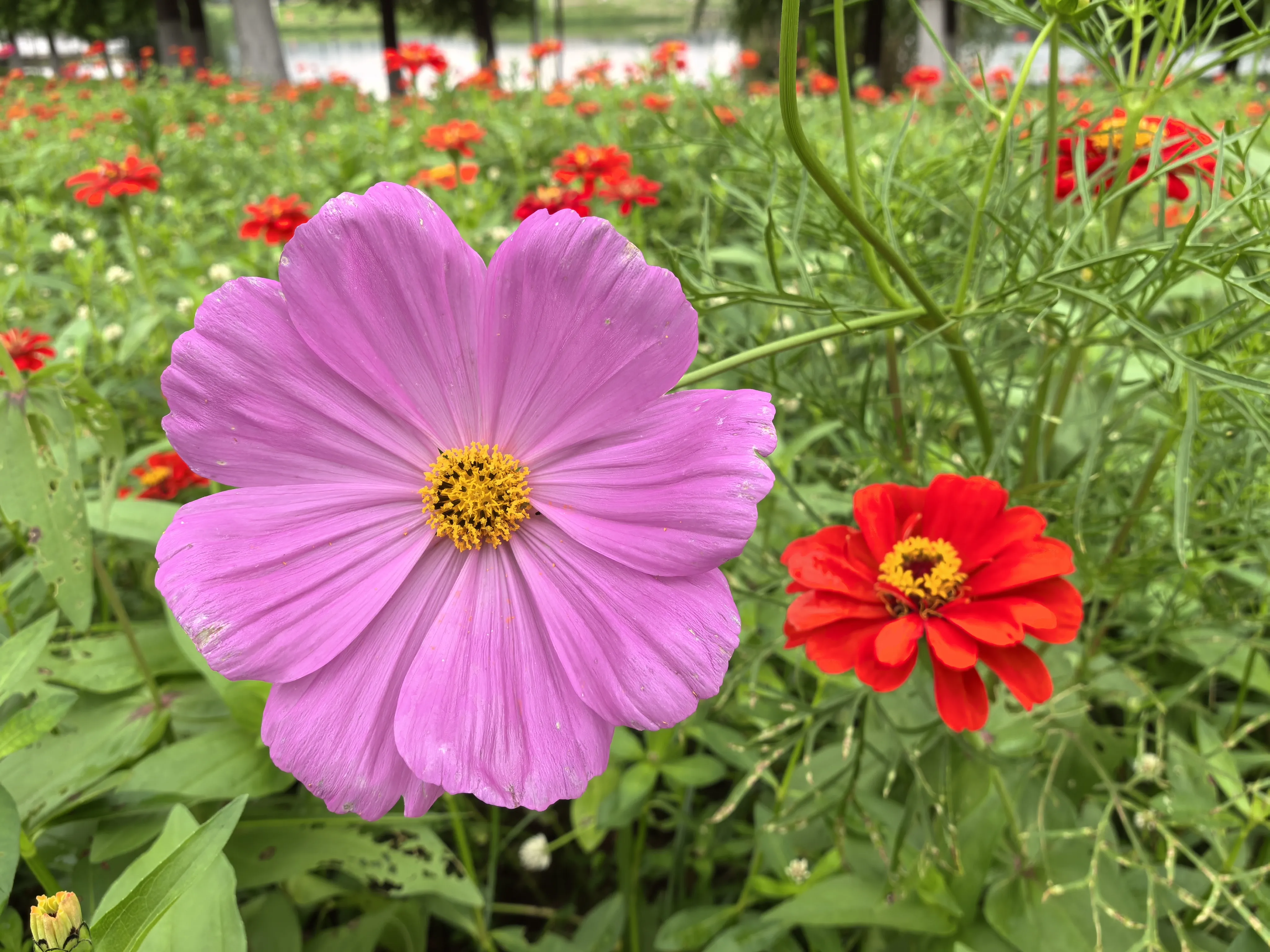 IMG_20250522_114419.webp