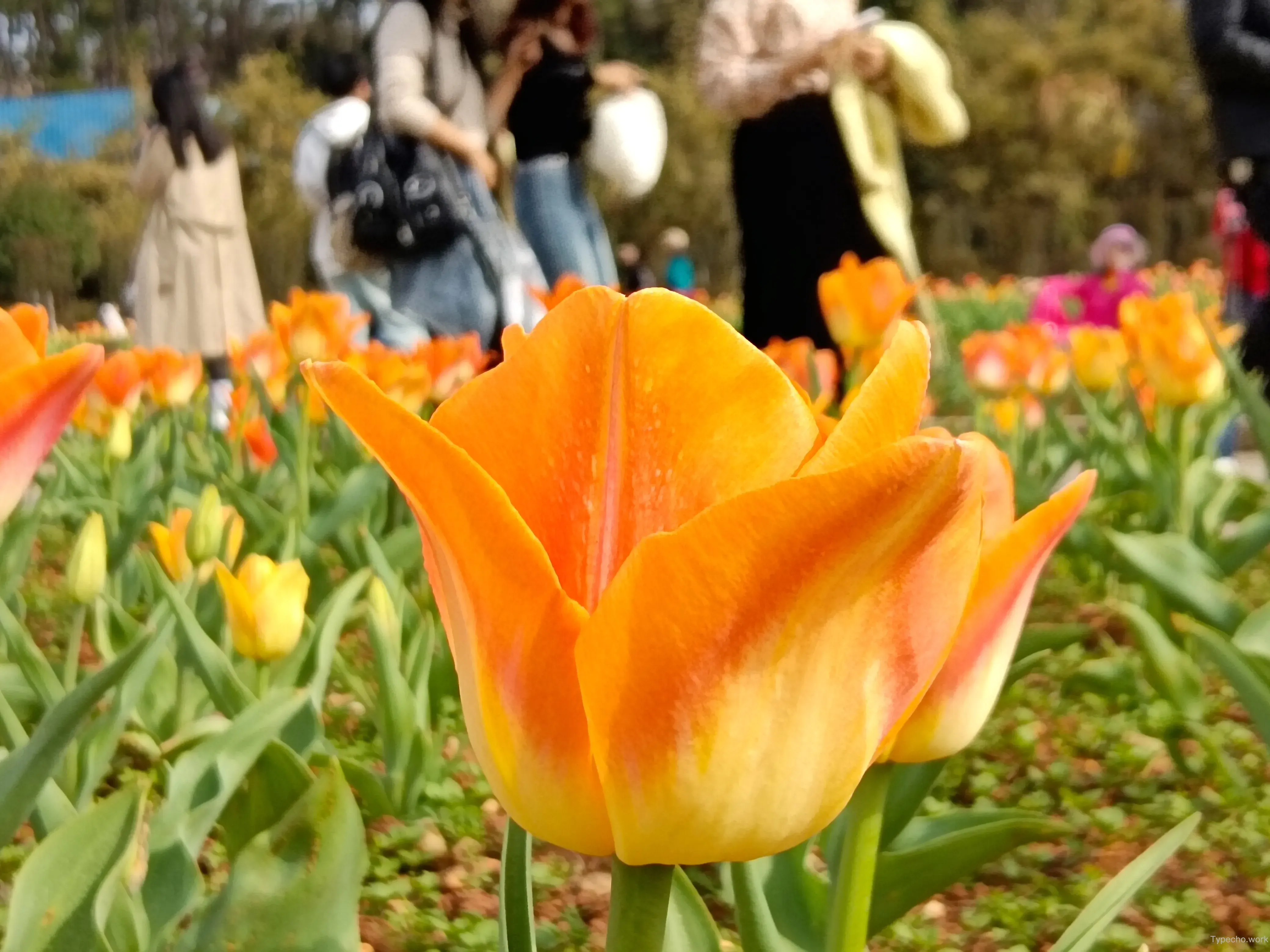 840560325.webp