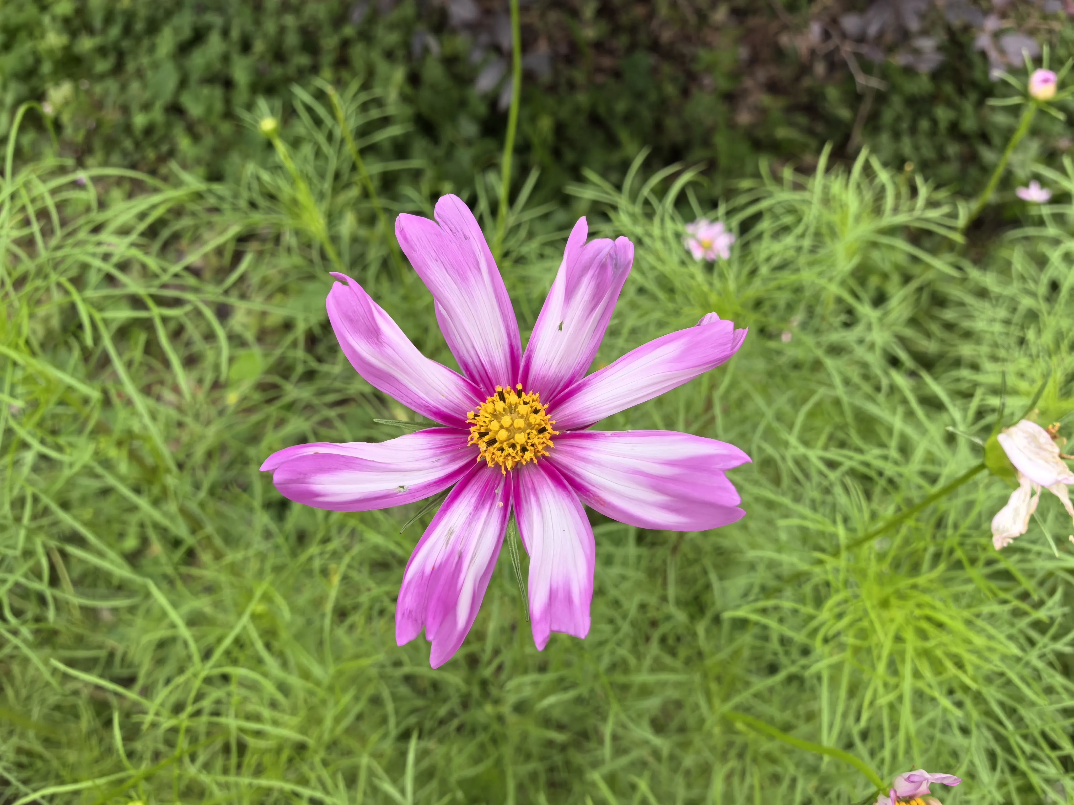 IMG_20250523_112057.webp