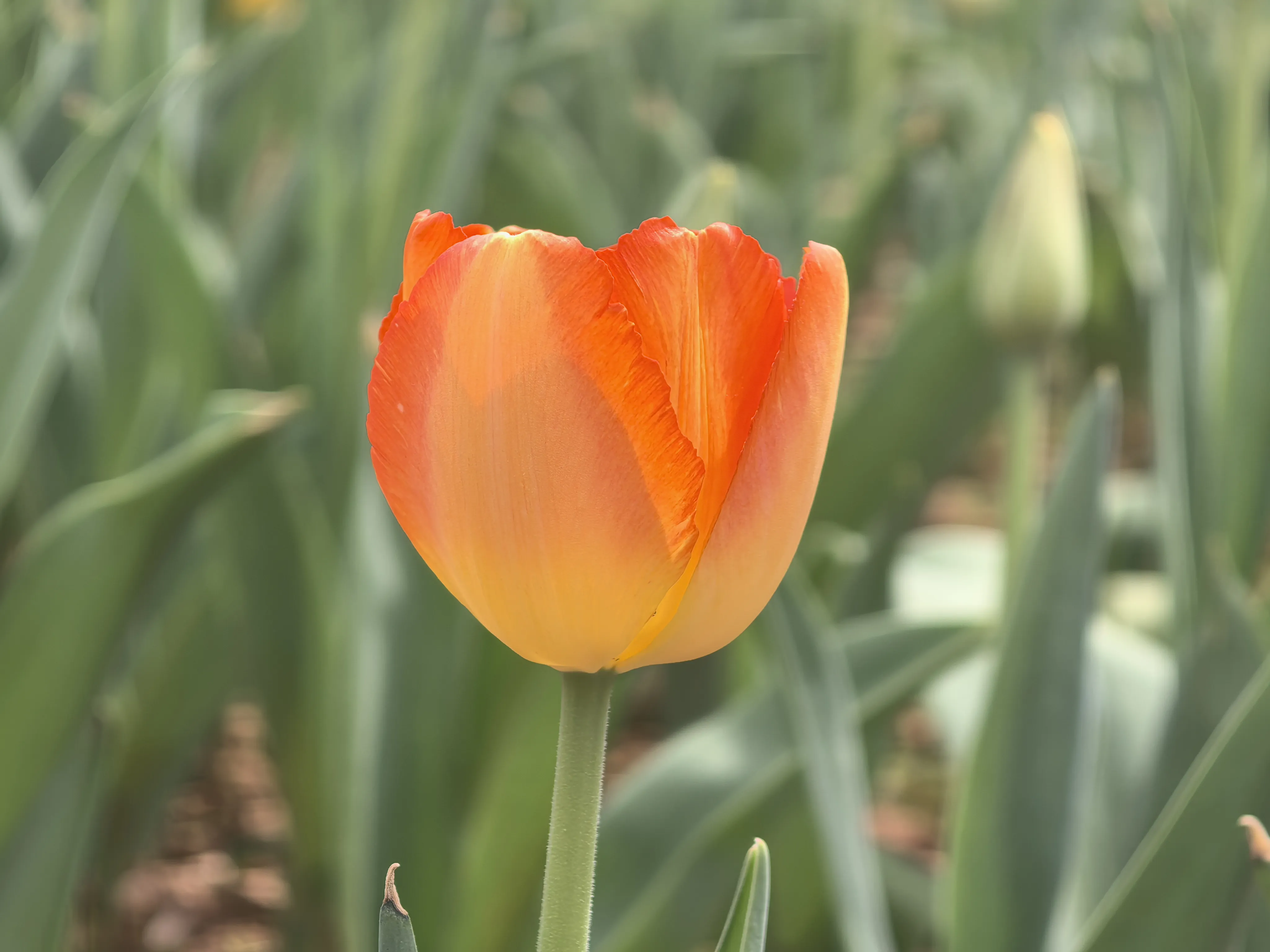 IMG_20250317_132018.webp
