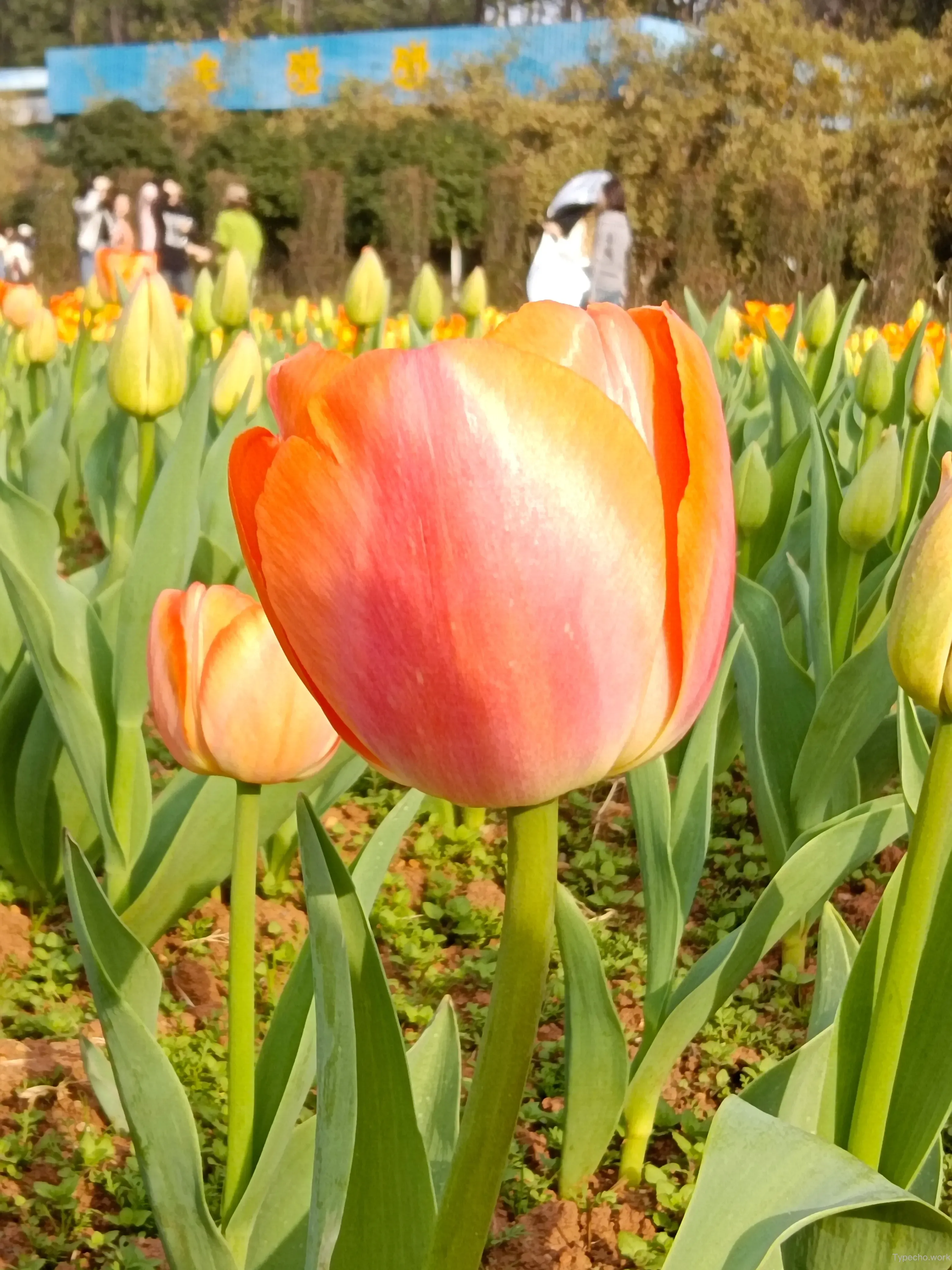 1884829949.webp