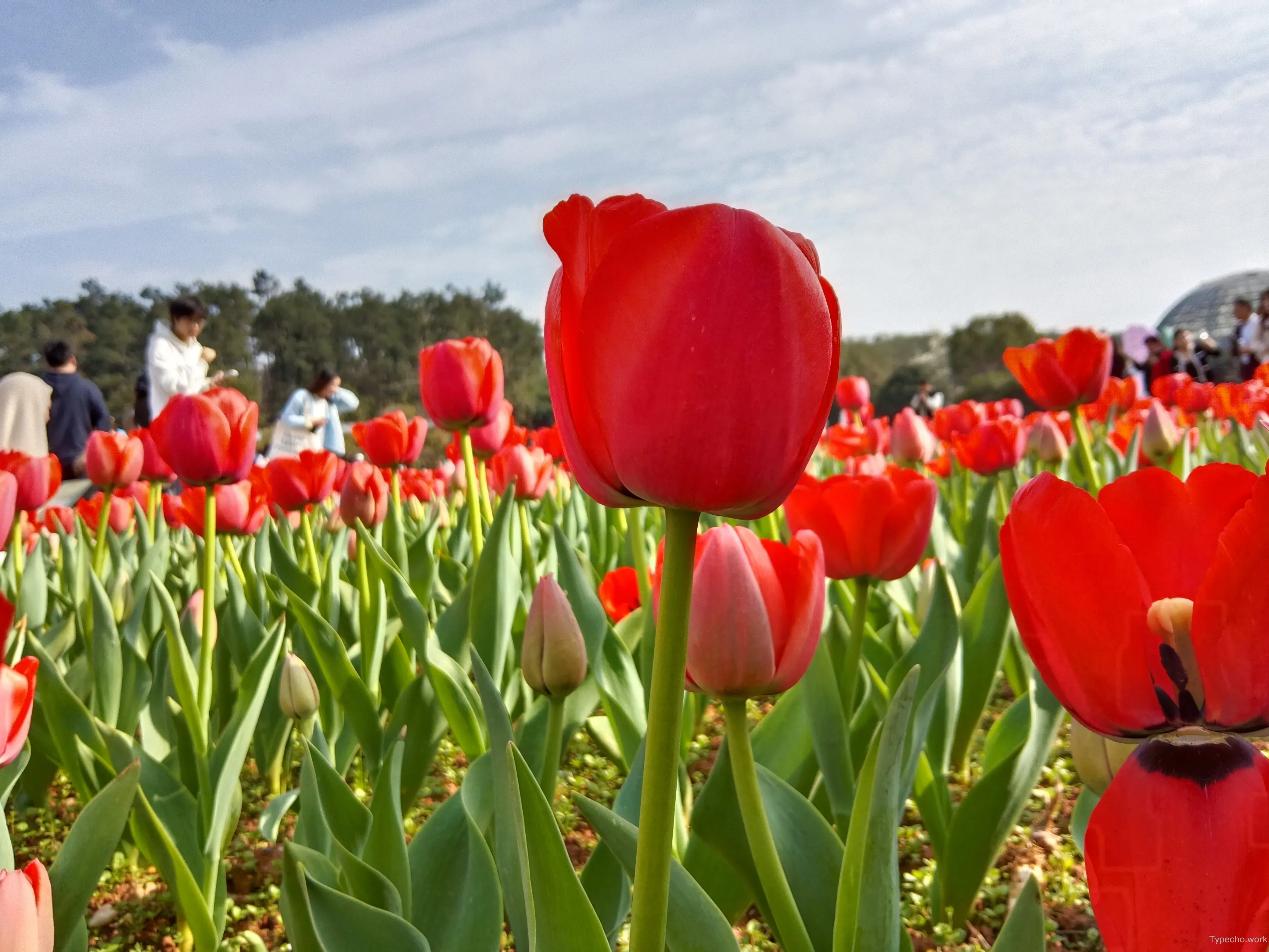 309516000.webp