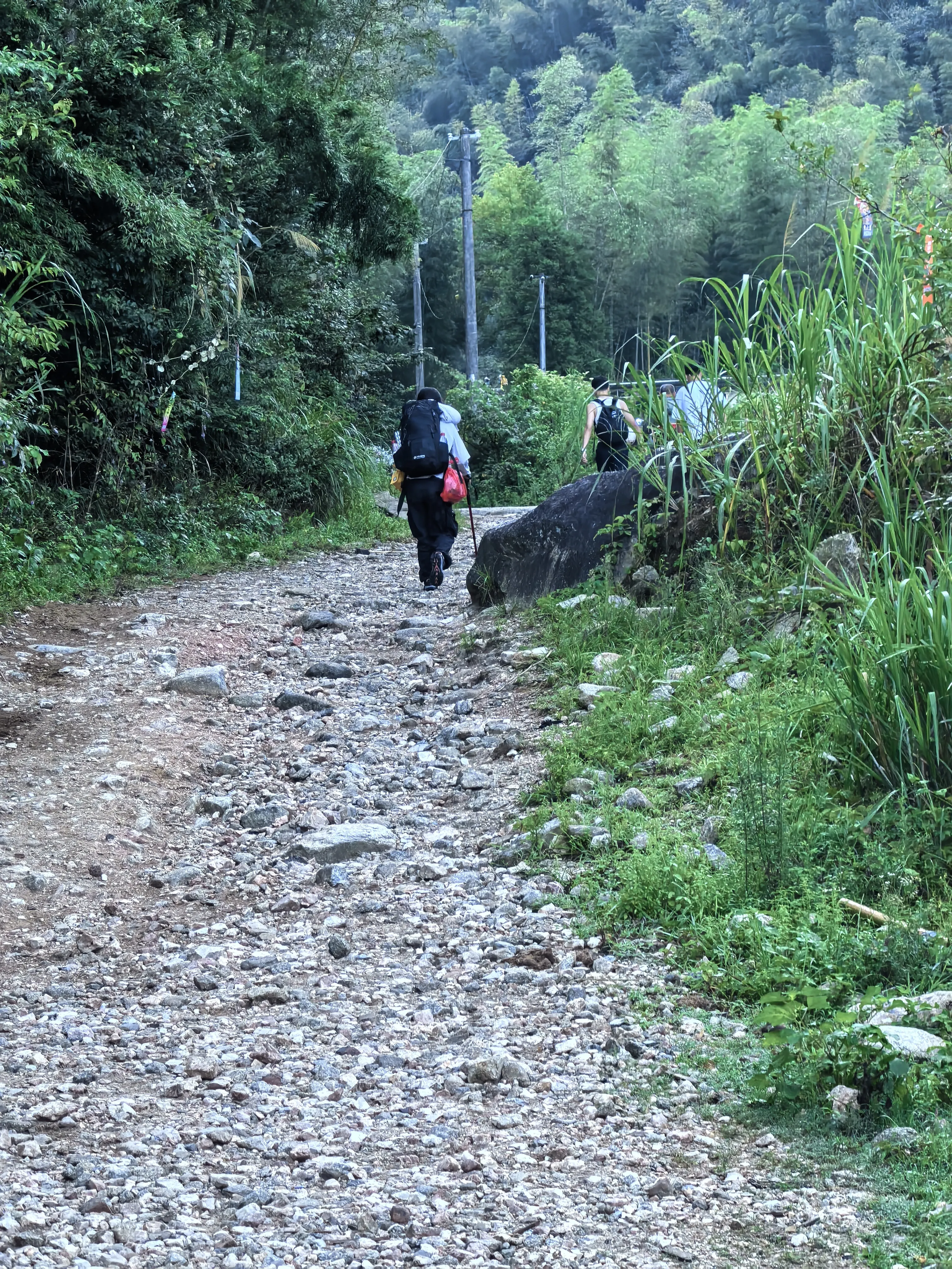 IMG_20250828_071558.webp