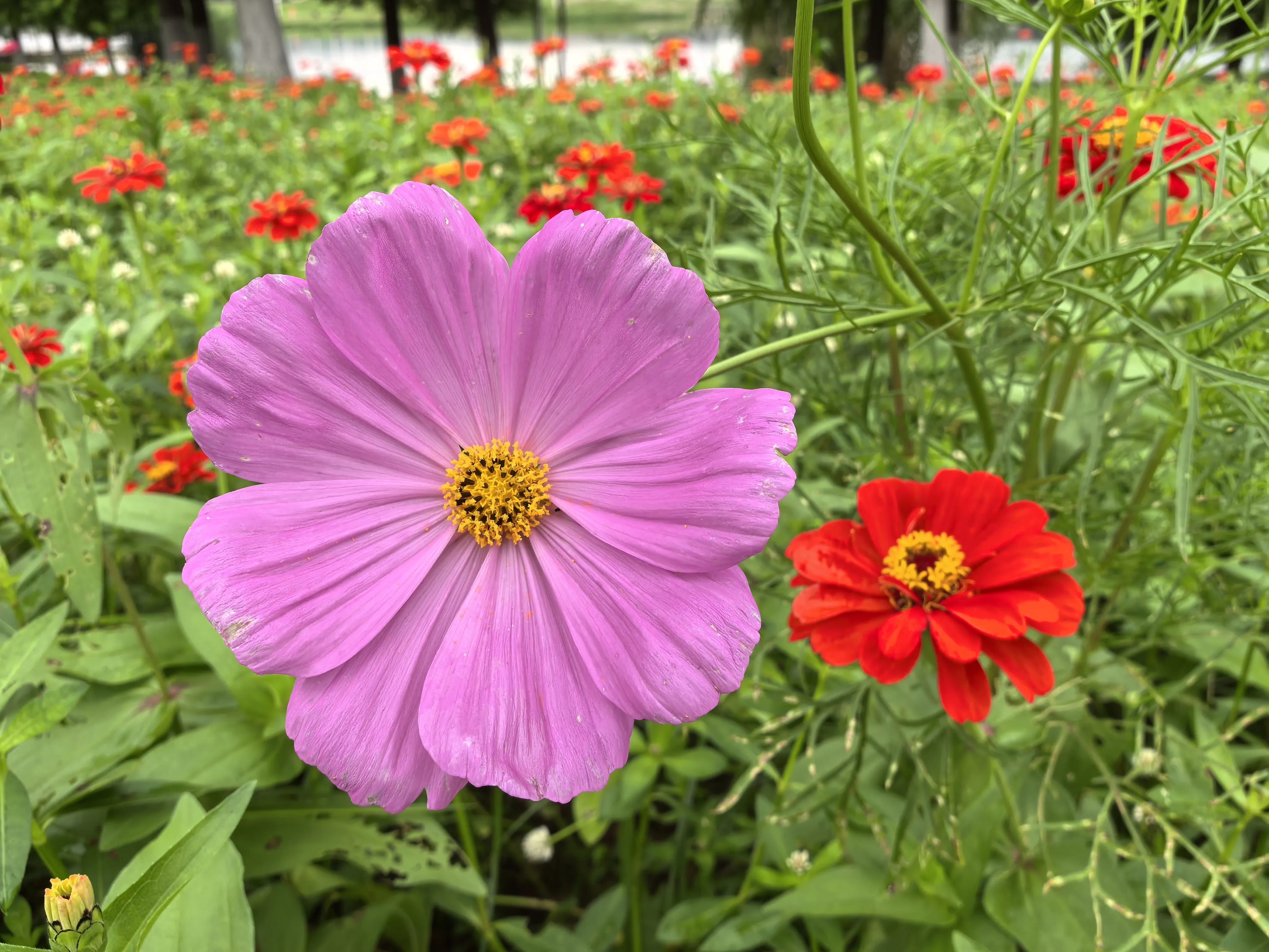 IMG_20250522_114420.webp