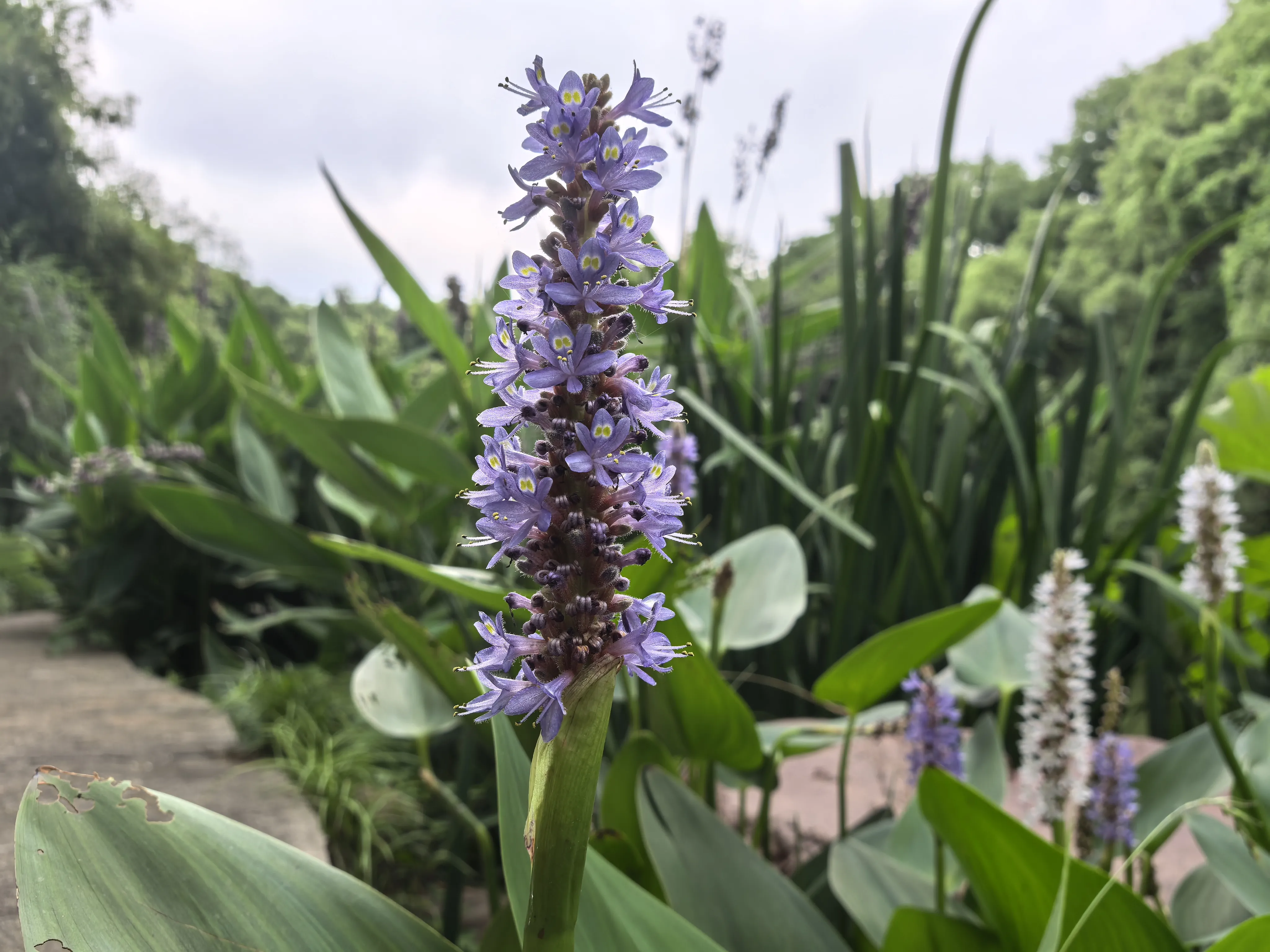 IMG_20250523_111532.webp