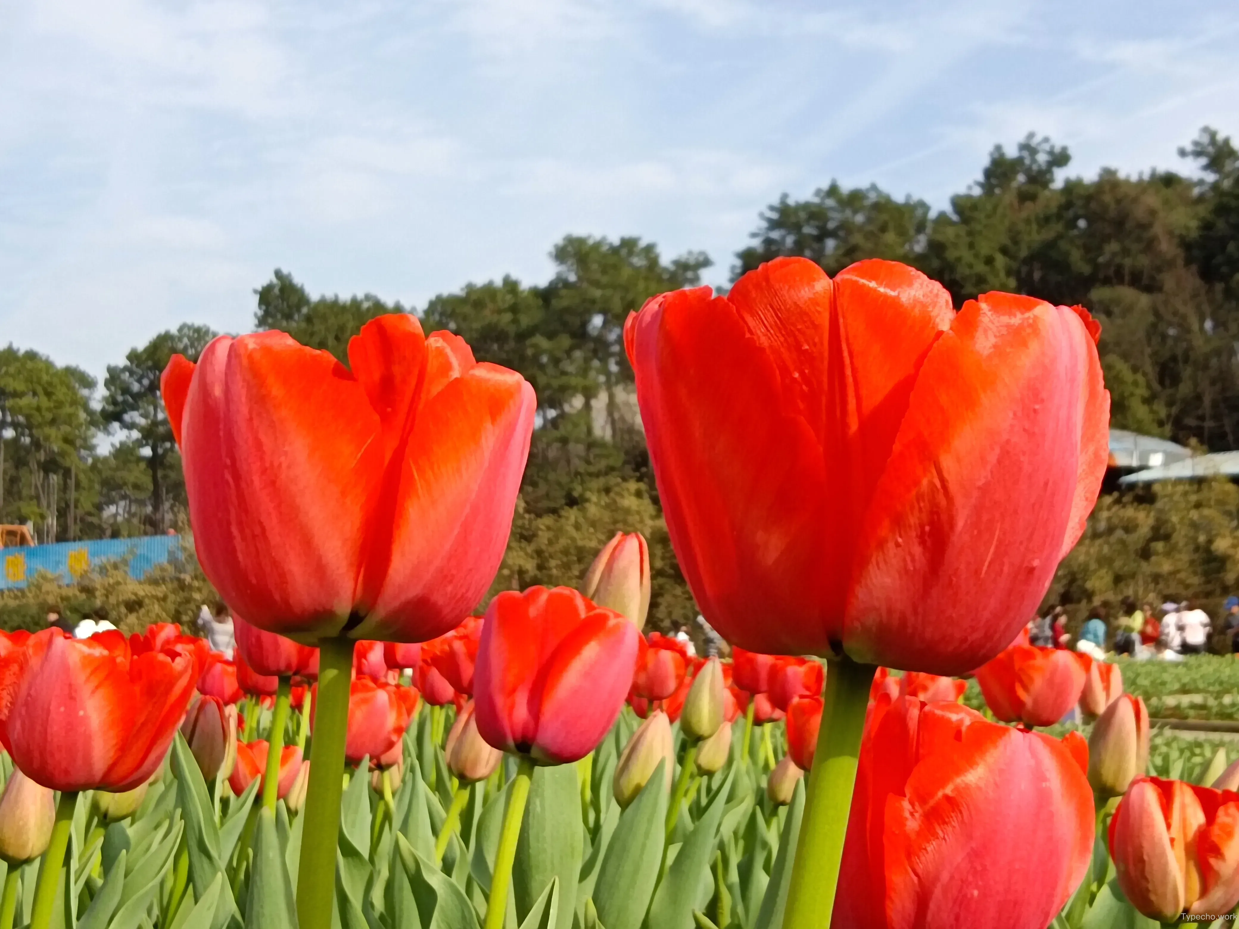1292913548.webp