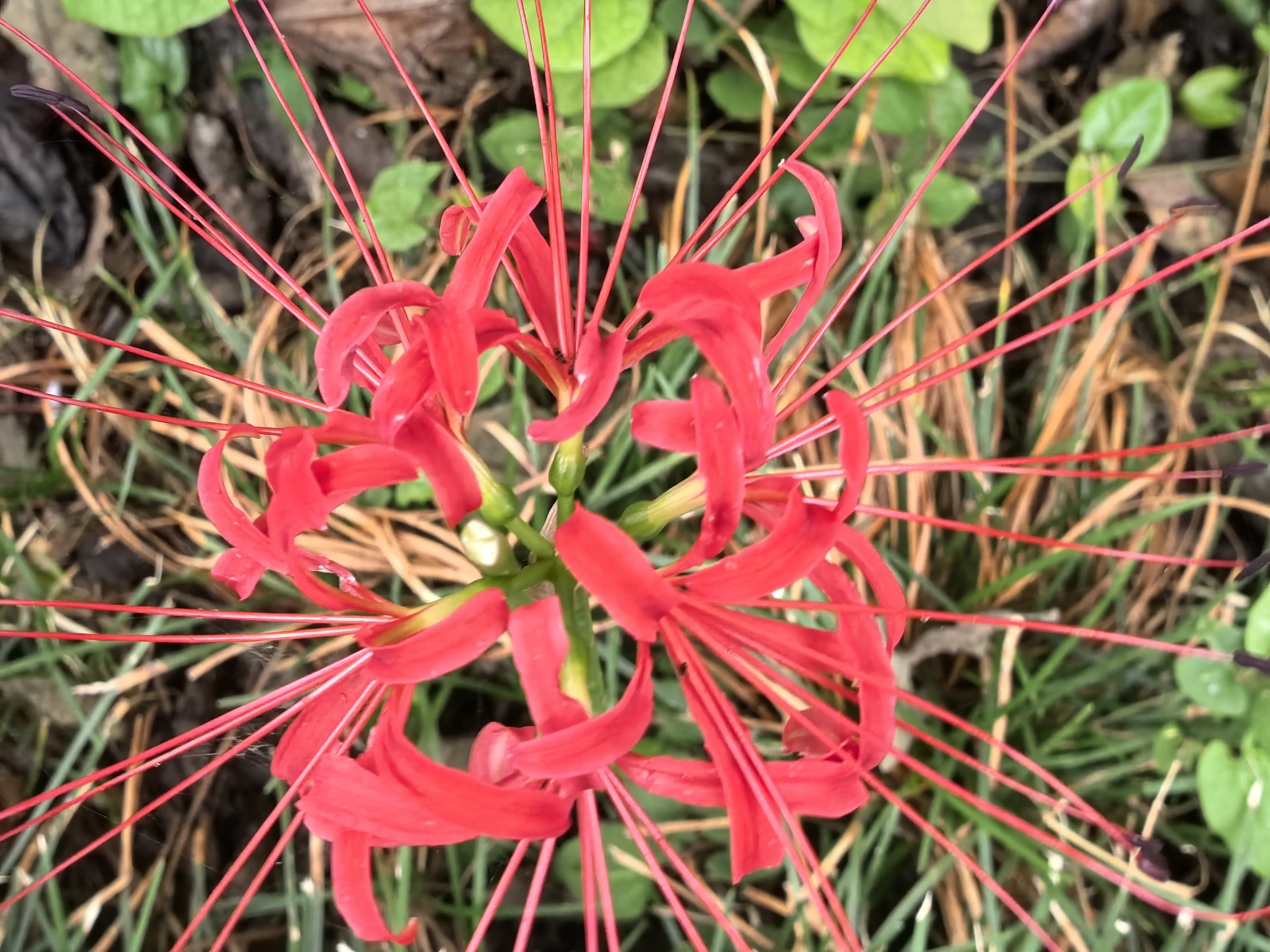 IMG_20250909_072636.webp