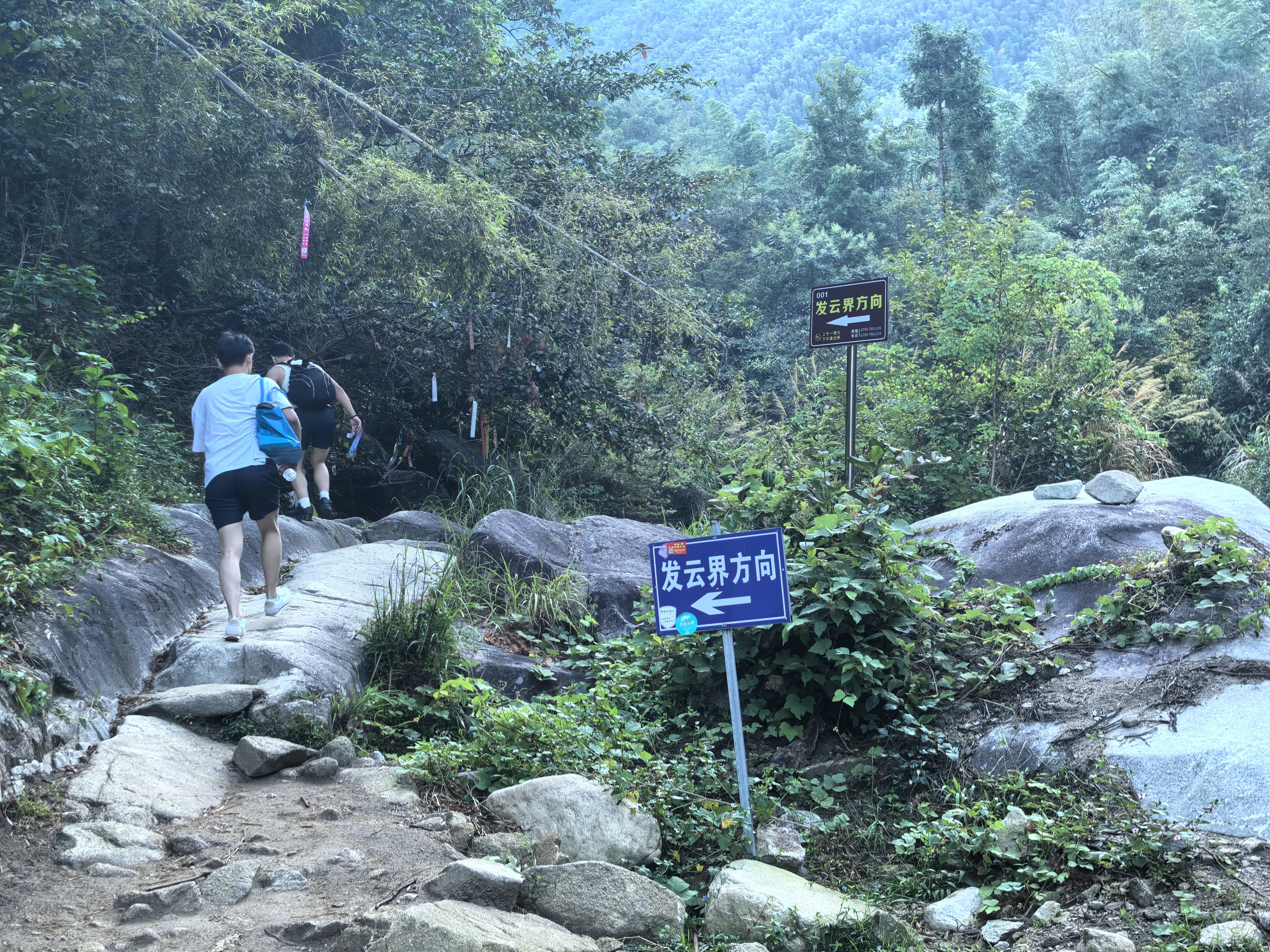 IMG_20250828_072114.webp