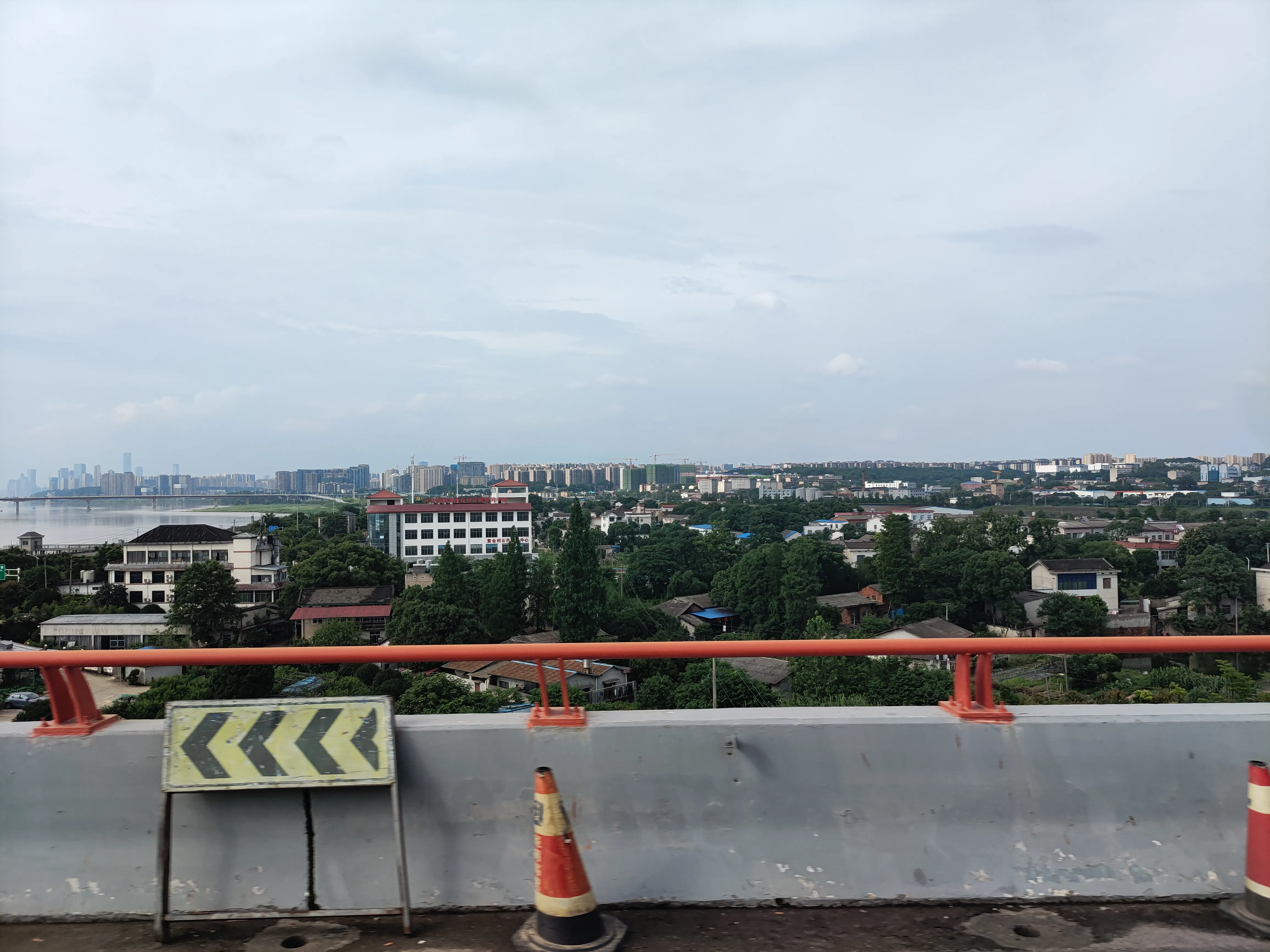 369.webp