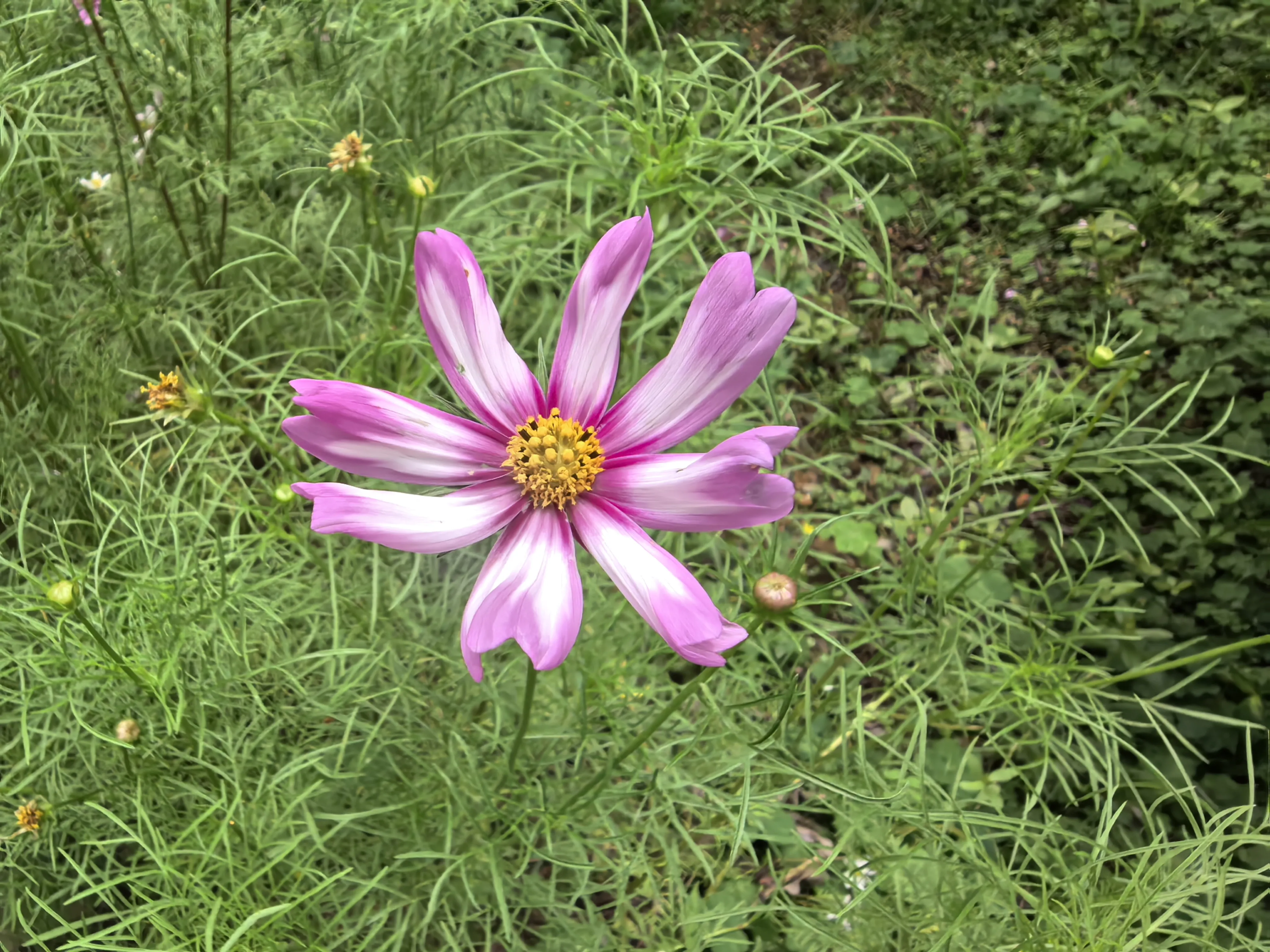 IMG_20250523_112021.webp