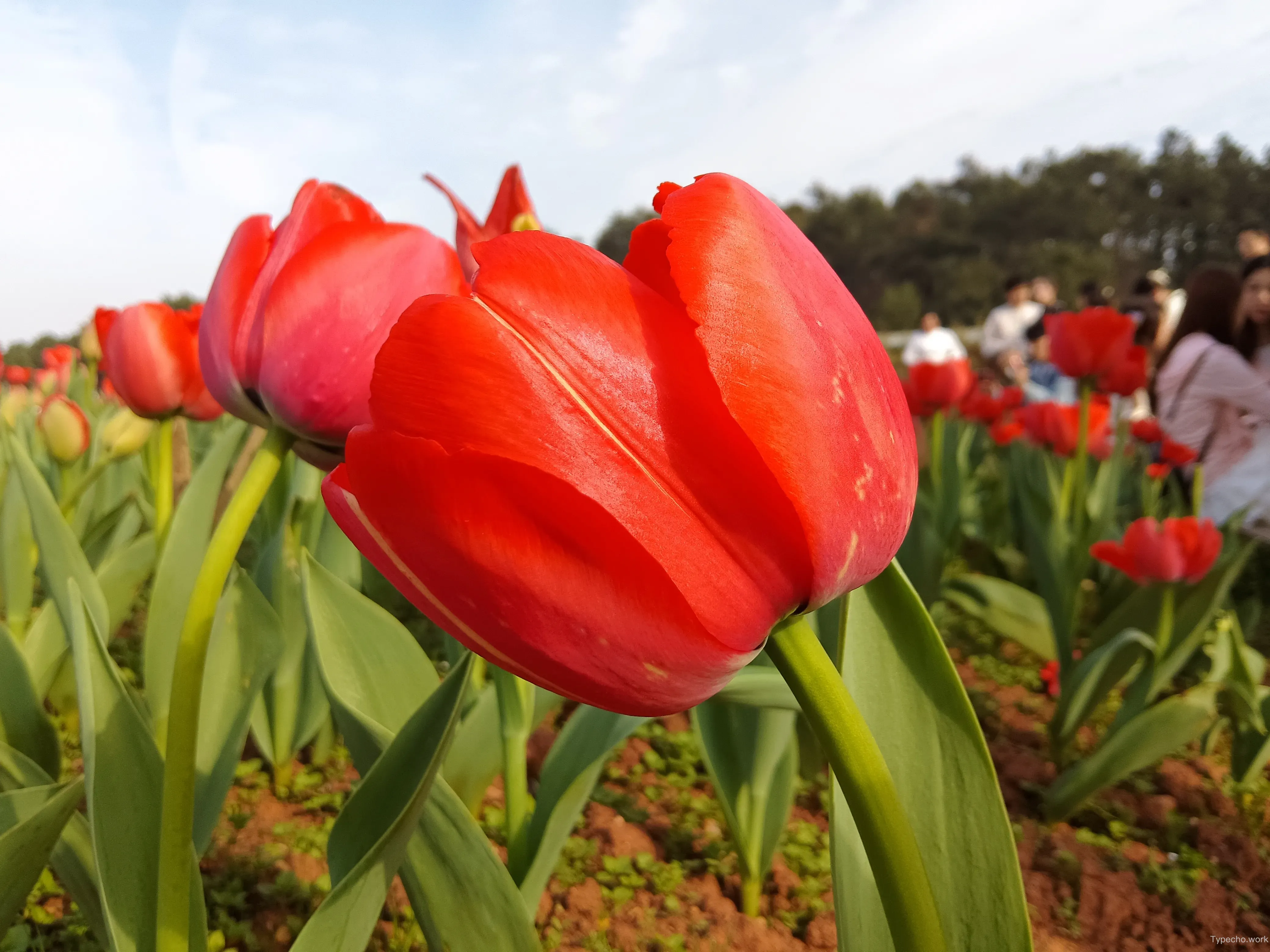 3210301456.webp
