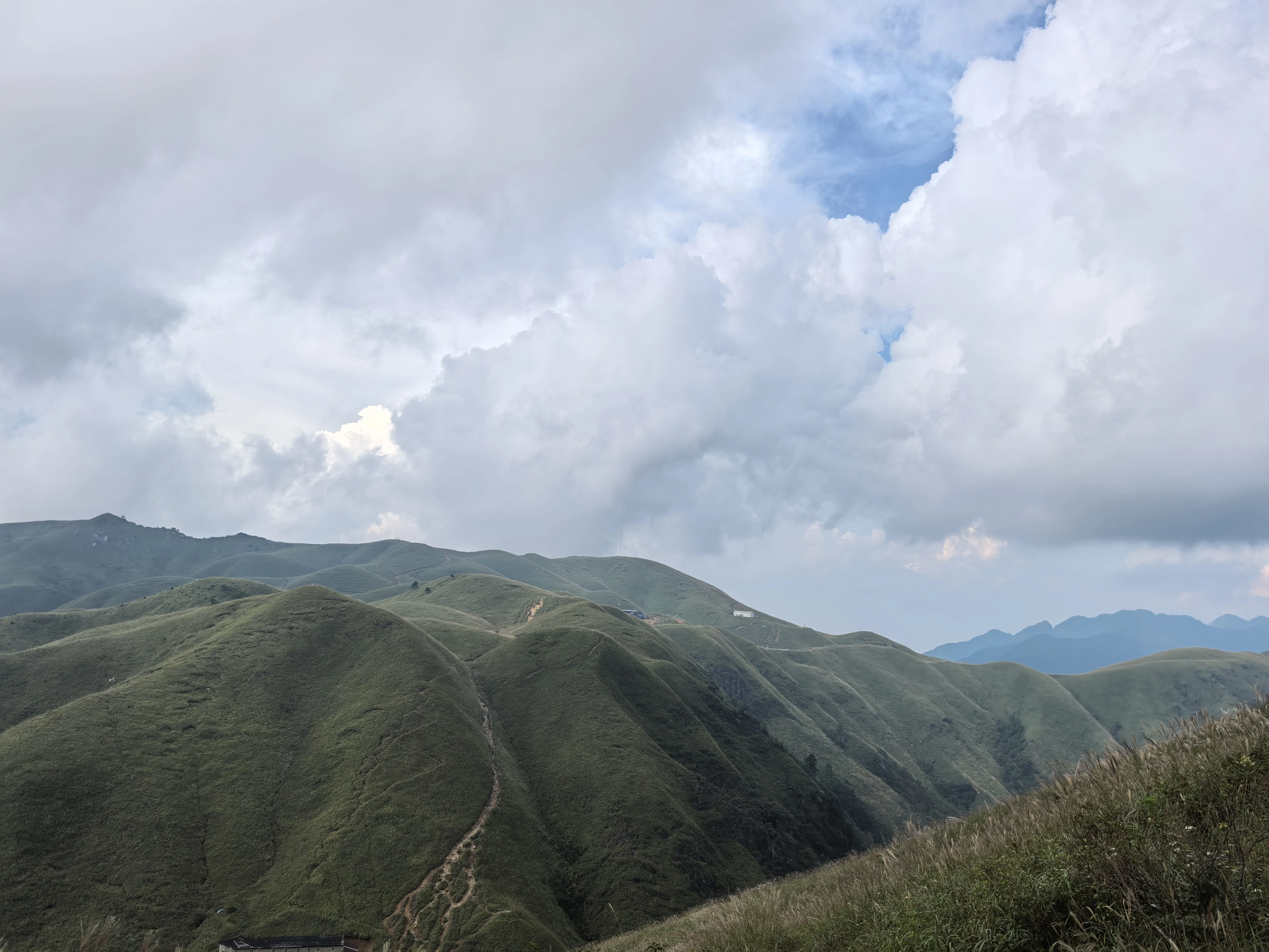 f14241152.webp