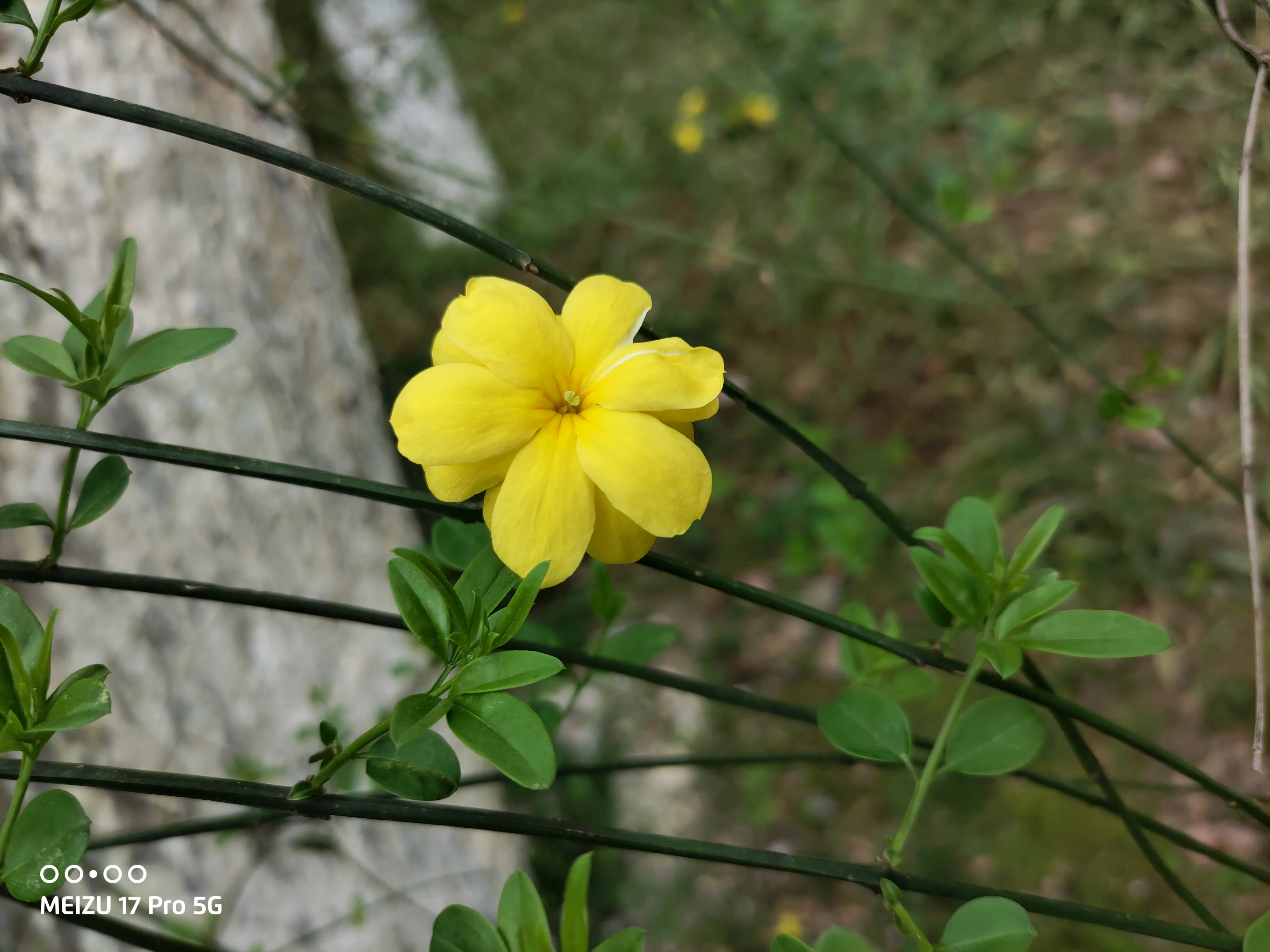 333.webp
