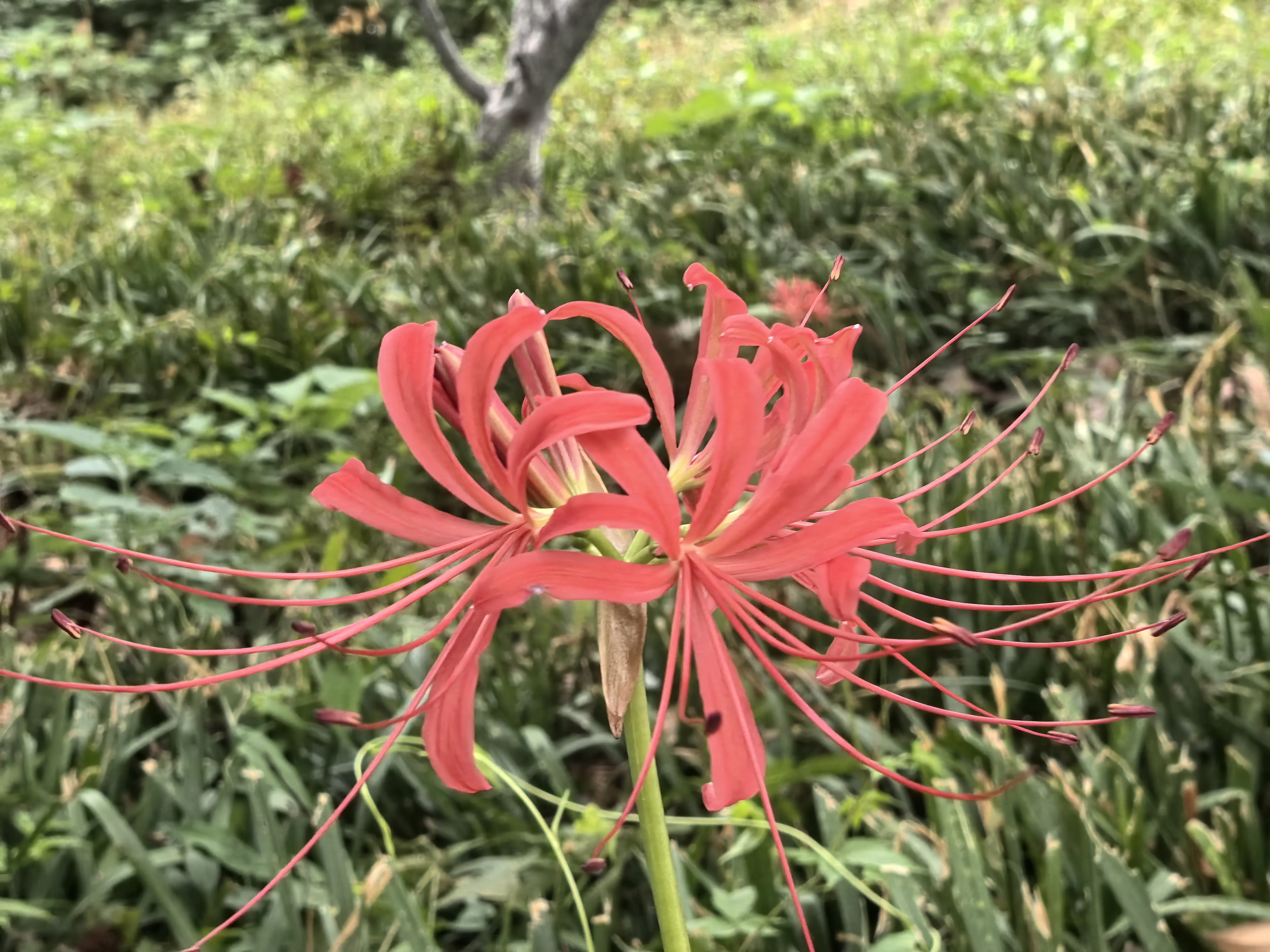 IMG_20250909_073958.webp