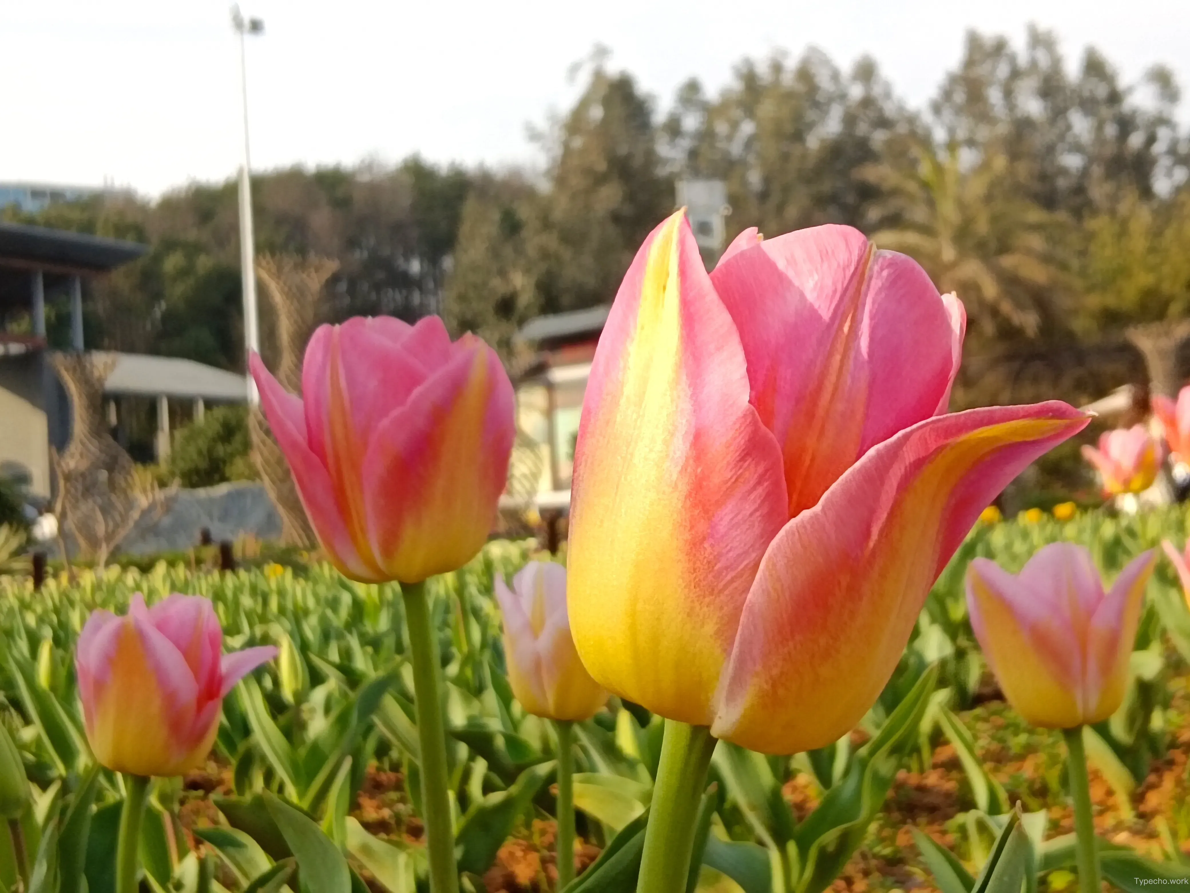 1134981363.webp
