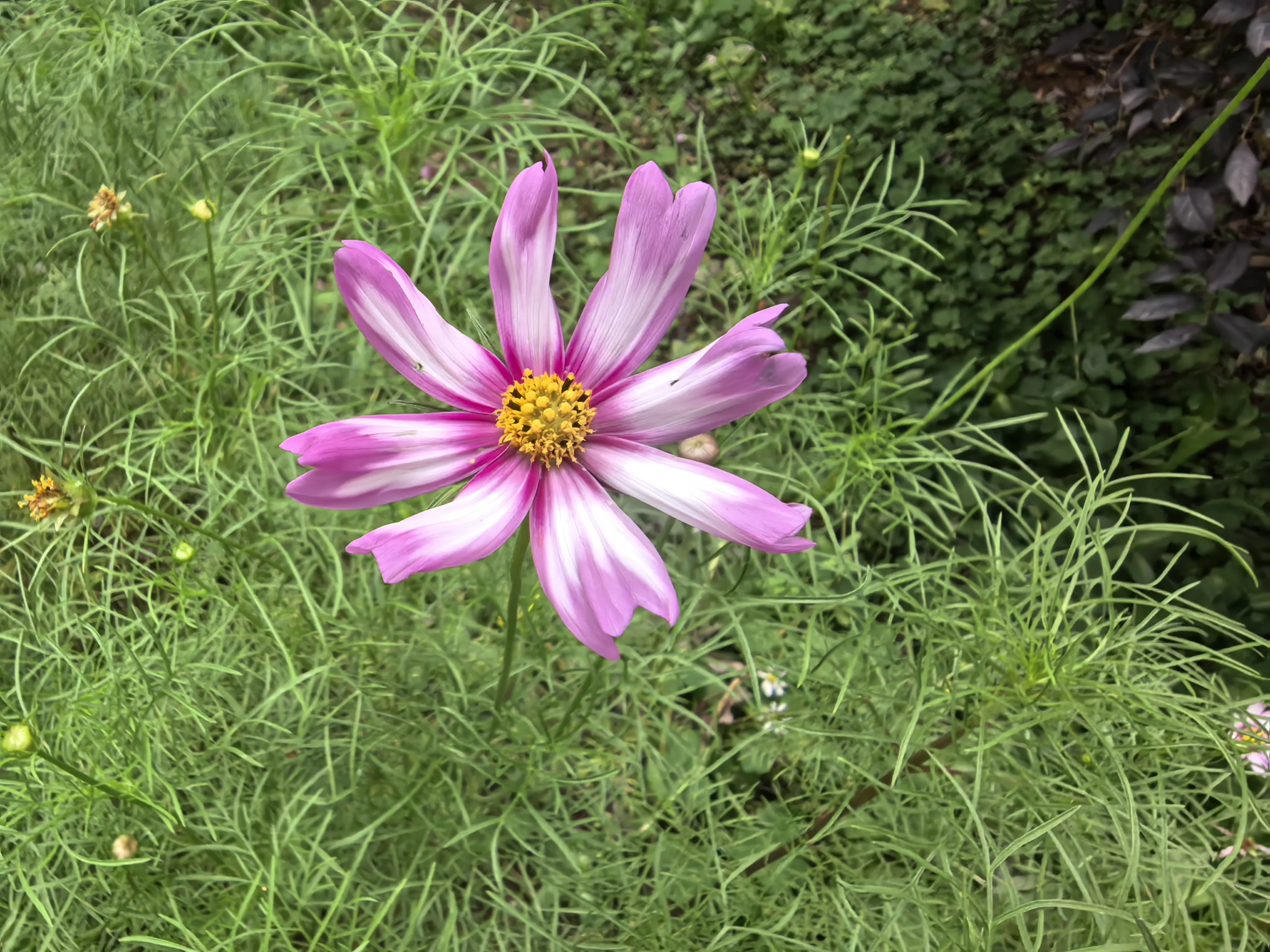 IMG_20250523_112017.webp