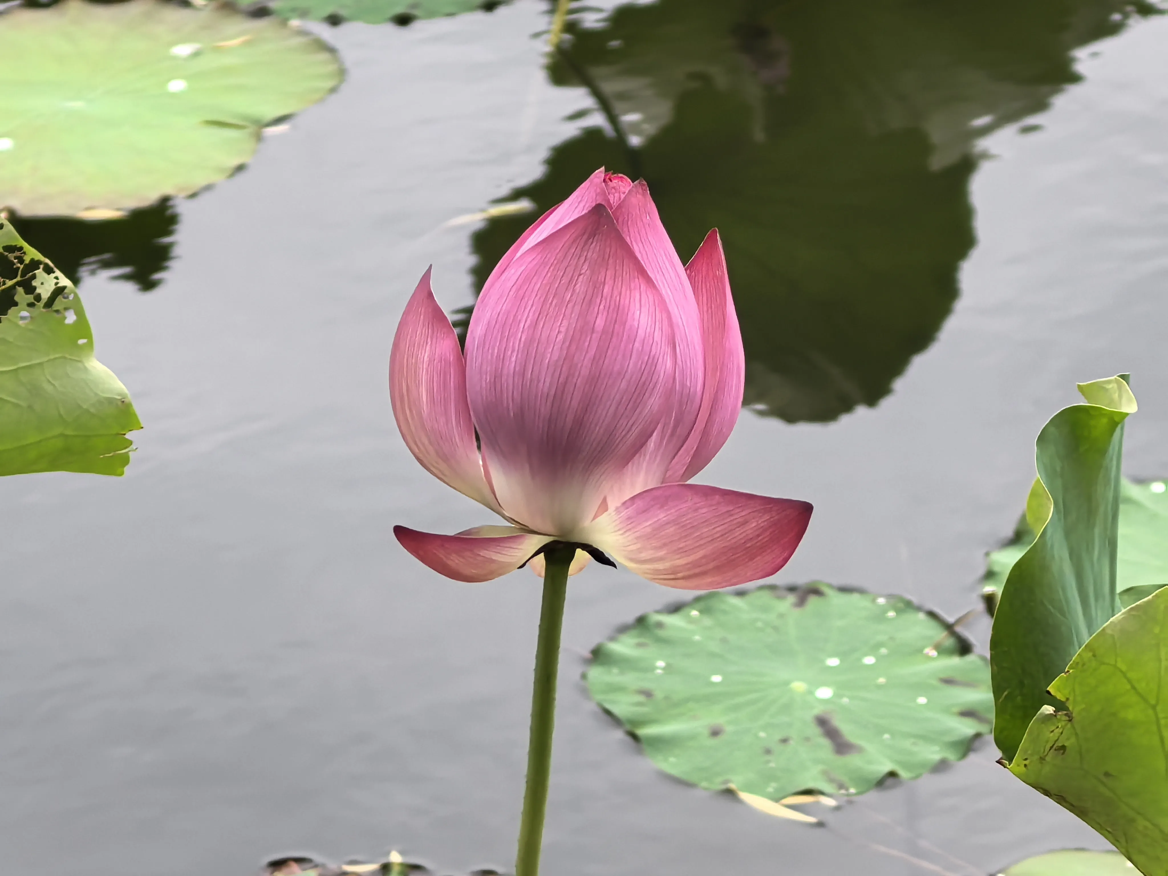 IMG_20250620_101404.webp