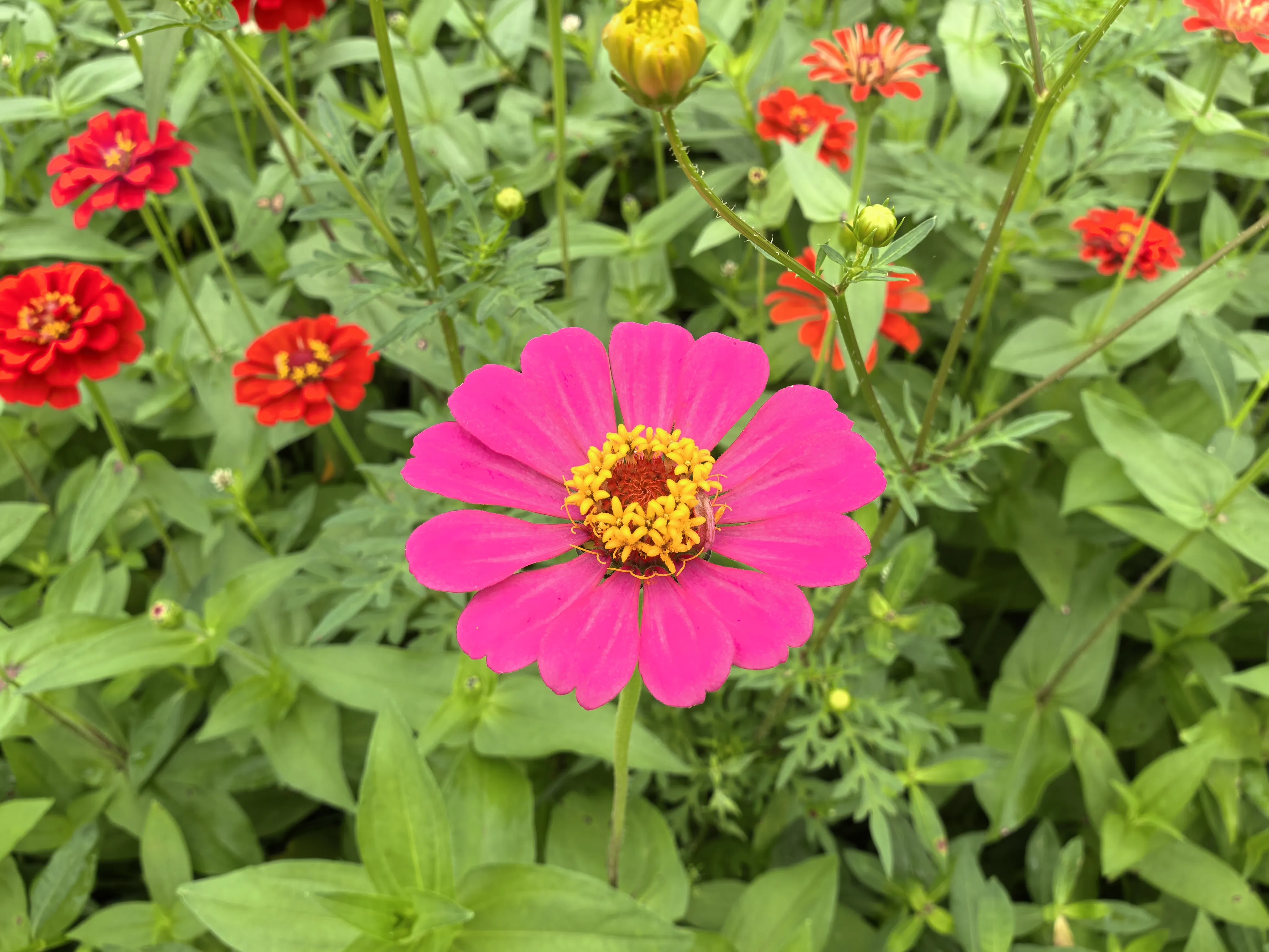 IMG_20250522_113835.webp
