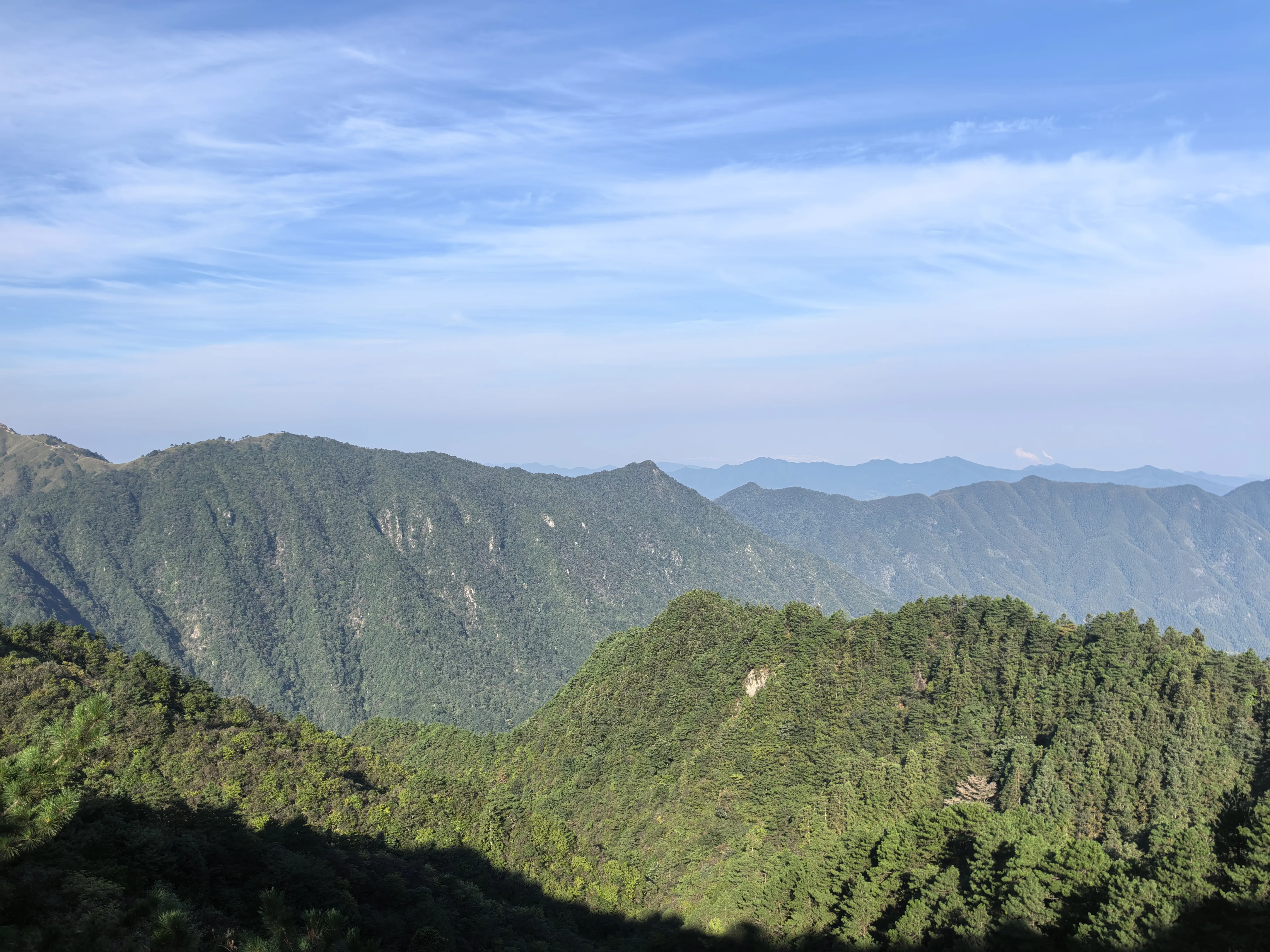 f14994816.webp