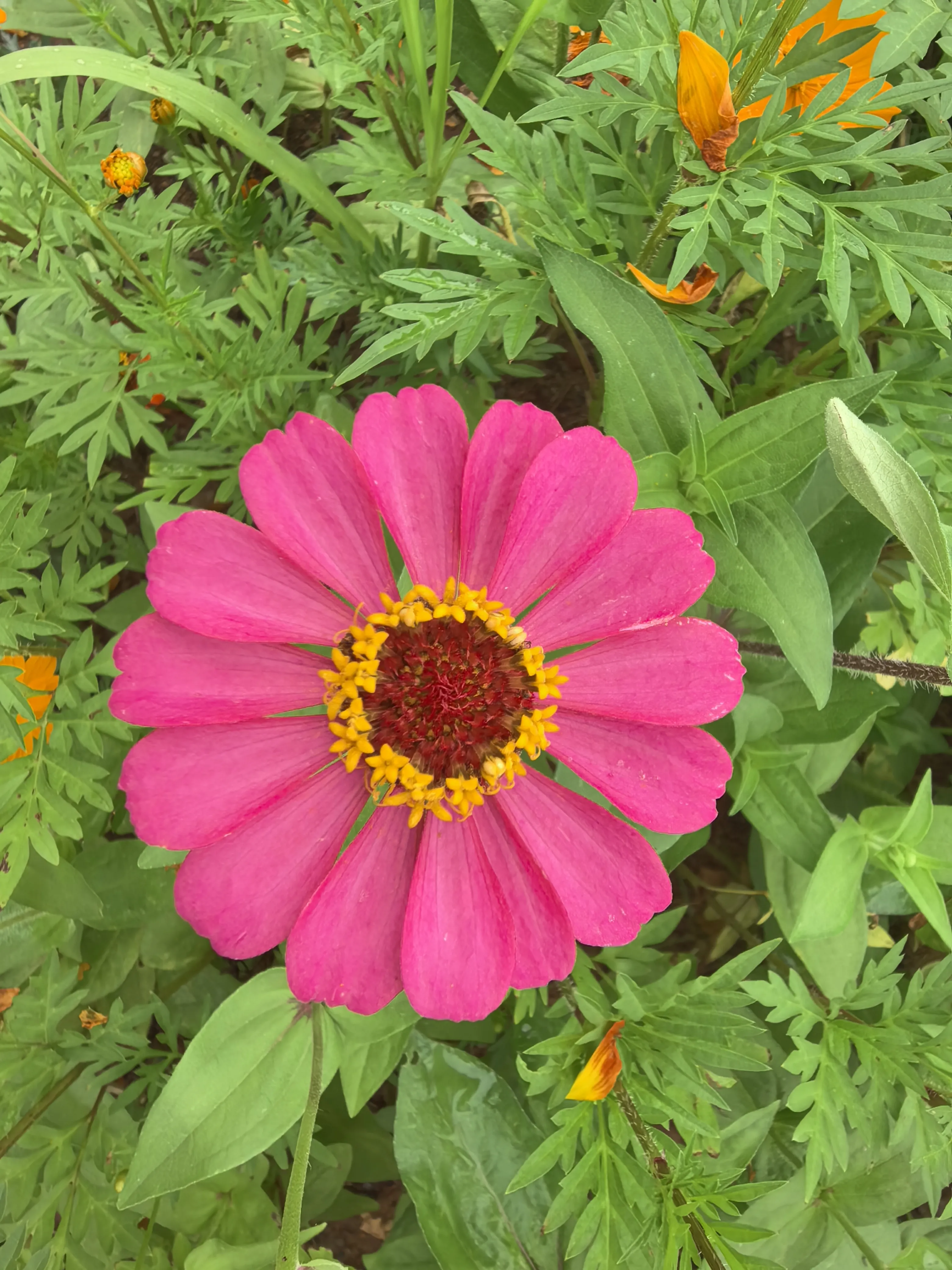 IMG_20250522_113557.webp